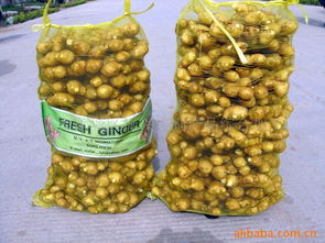 萊蕪市萊城區(qū)振興農(nóng)副產(chǎn)品綜合加工廠官方網(wǎng)站 - 健康零食，源自純正農(nóng)產(chǎn)