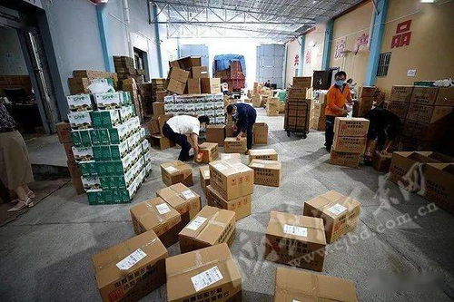 4萬單巴東綠色農產品直供北京 從田間到舌尖的生態美味