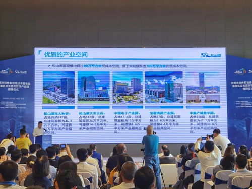 東莞市軟件和信息化技術服務集聚區揭牌 松山湖以軟實力賦能智造與家禽銷售技術服務