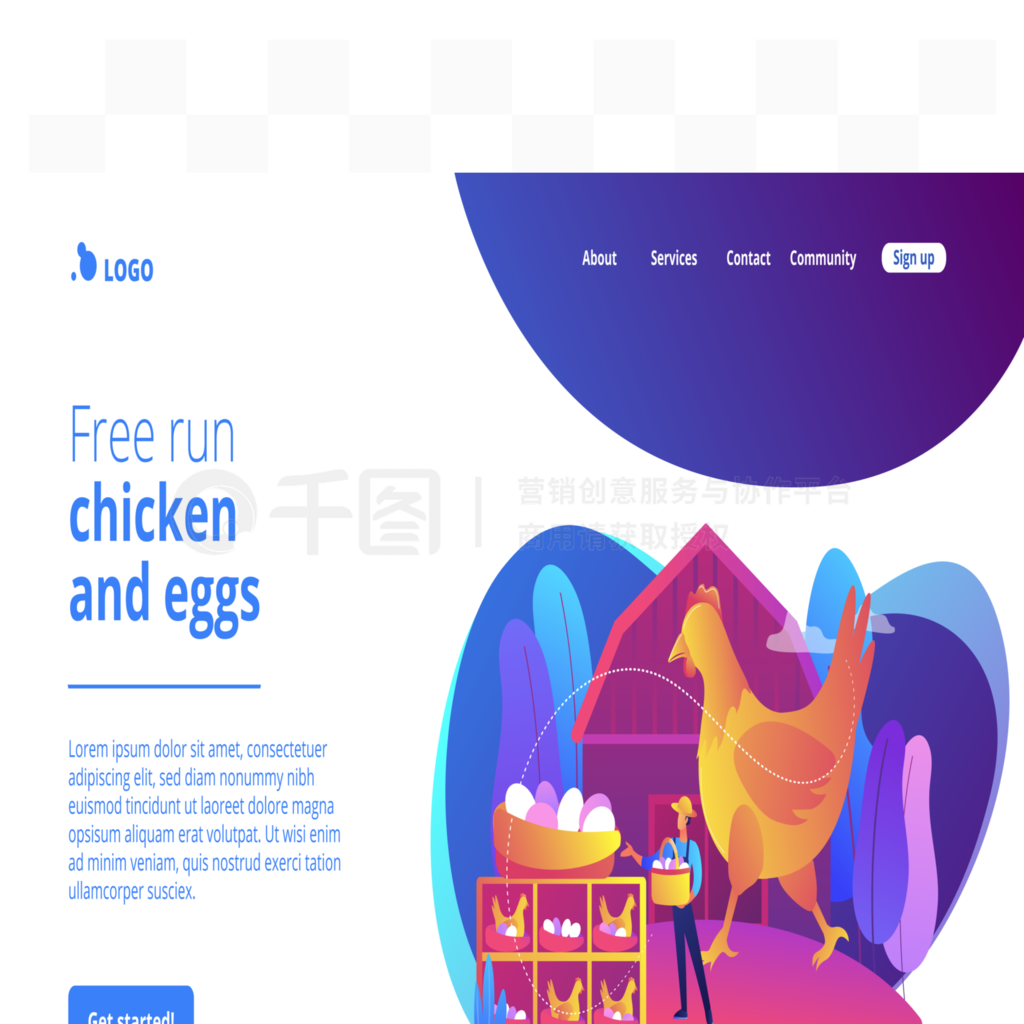 現(xiàn)代家禽業(yè)的技術(shù)革新 從自由奔跑的雞到快樂雞蛋