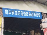云安區(qū)柑豐合作社 以技術(shù)服務(wù)賦能家禽銷售新路徑
